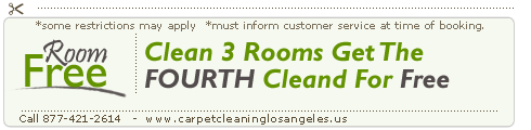 carpet cleaning upholstery curtains cleaning blinds & drapes cleaning in Los Angeles,CA