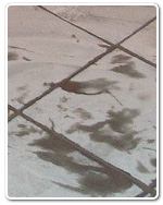 Los Angeles,CA water damage restoration