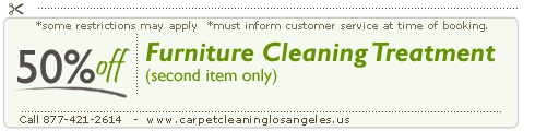 furniture sofa cleaning in Los Angeles,CA